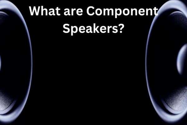 What are Component Speakers? The Ultimate Guide