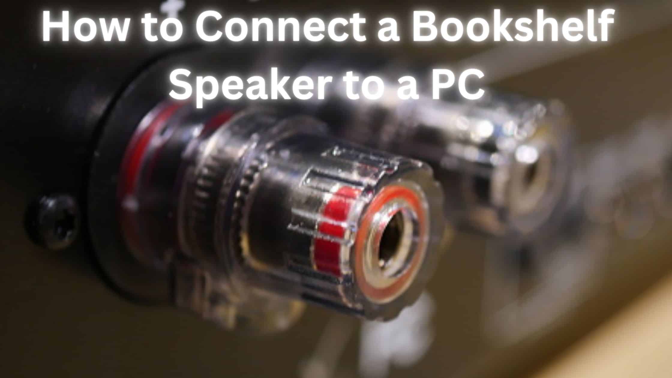 onnect a Bookshelf Speaker to a PC
